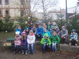 Náš stromeček před školou