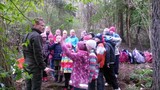 lesní pedagogika