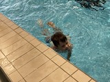 plavání