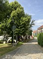 Veletrh evropských zemí_23.6.2023