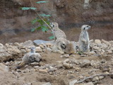 ZOO Jihlava_24.6.2015