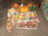Podzimn vstava_27.10.2015