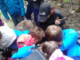 Lesn pedagogika_26.4.2016