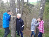 Lesní pedagogika_26.4.2016