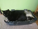 erti pan uitelky:-)