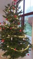 Den otevench dve_3.12.2022