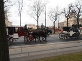 Pedvnon Vde - 2011