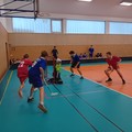 Okrsková kola ve florbale_listopad 2024