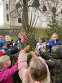 zdoben stromeku