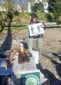 LESN� PEDAGOGIKA