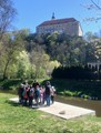 LESN� PEDAGOGIKA