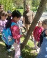 LESN� PEDAGOGIKA