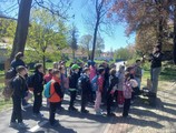 LESN� PEDAGOGIKA