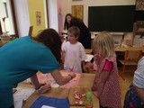 Pprava na Den zdrav
