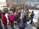 Zdobení stromečků_7.12.2012
