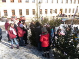 Zdoben stromek_7.12.2012