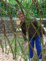 Zahradn slavnost_30.5.2014