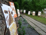 Zahradn slavnost_30.5.2014
